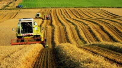 Черкащина займає 2 місце за рівнем виробництва сільськогосподарської продукції