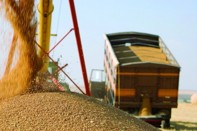 На Уманщині завершили збирання ранніх зернових
