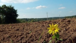 “За лаштунками війни не можна розпродавати землю”, – Юлія Тимошенко