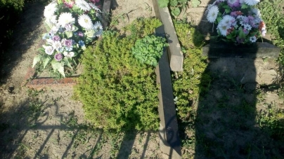 Вандали в Городищі розкопують могили