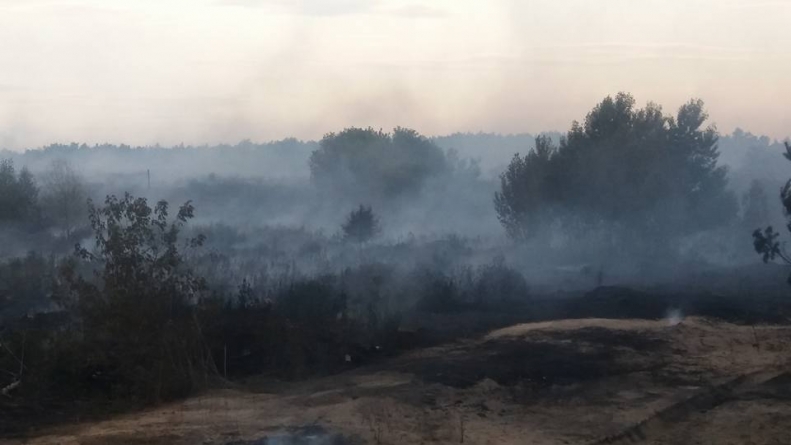 Пожежа у Вергунах перекинулася зі смітника на лісові насадження