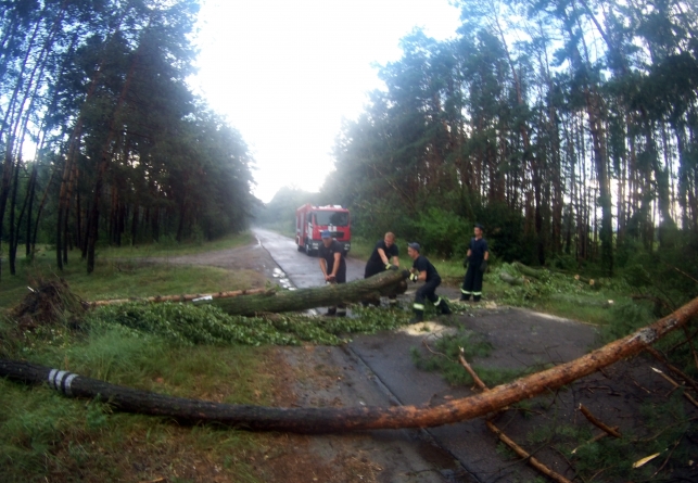 У Свидівку дорогу перекрили 15 повалених вітром дерев