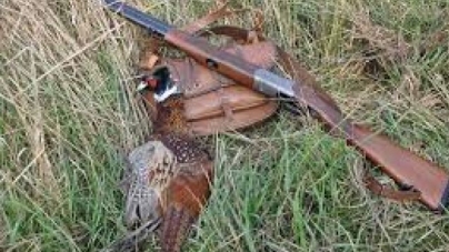 Штрафи за порушення правил полювання сягають від 100 до 2000 гривень