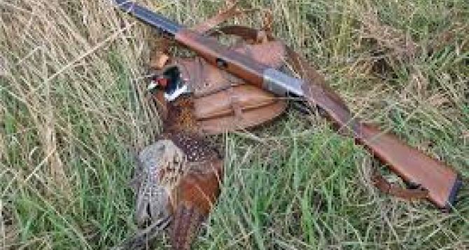 Штрафи за порушення правил полювання сягають від 100 до 2000 гривень