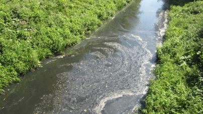 Річку забруднено, але склад забруднення визначити неможливо – екологи