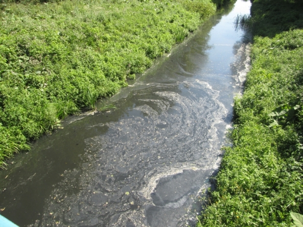 Річку забруднено, але склад забруднення визначити неможливо – екологи
