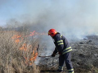 Кількість пожеж зросла на 56 %: рятувальники звітують про зростання усіх показників