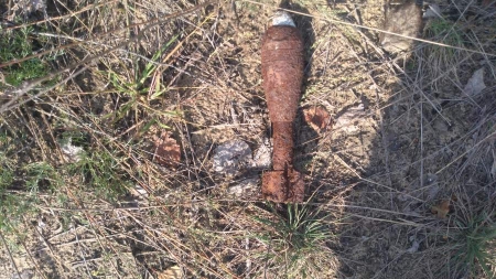 Шукали гриби – знайшли снаряди: 4 боєприпаси виявлено на Черкащині за добу