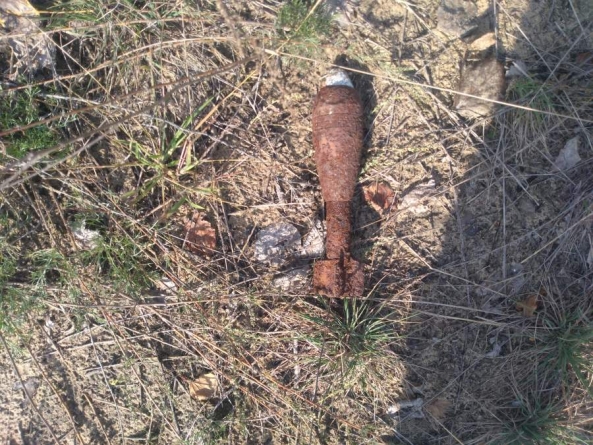 Шукали гриби – знайшли снаряди: 4 боєприпаси виявлено на Черкащині за добу