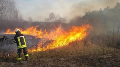 На Канівщині в епіцентрі пожежі виявили жінку, яка самотужки гасила вогонь та зомліла