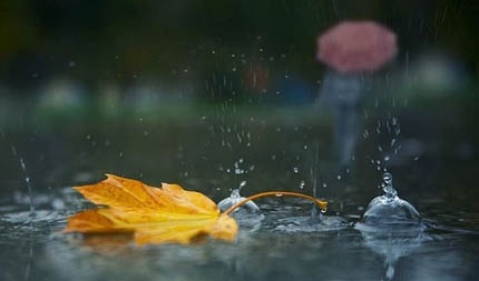 До кінця жовтня синоптики прогнозують дощі та невелике потепління