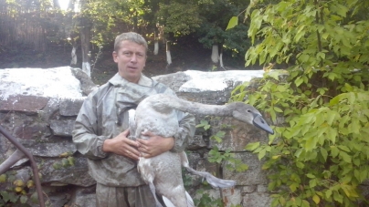 У Тальному на Черкащині рятувальники визволили лебедя