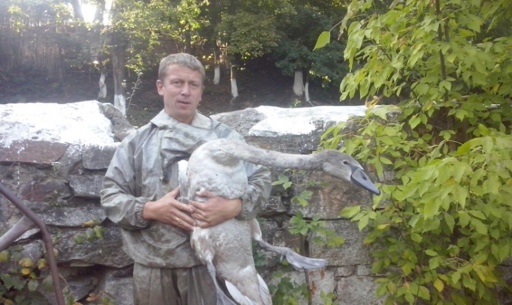 У Тальному на Черкащині рятувальники визволили лебедя