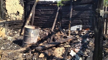 На пожежі в Мошнах загинуло чотири свині