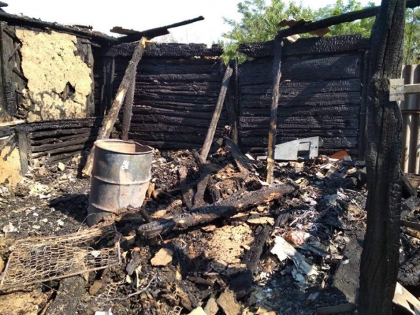 На пожежі в Мошнах загинуло чотири свині