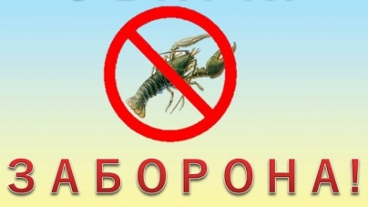 До кінця вересня на Черкащині заборонено вилов раків