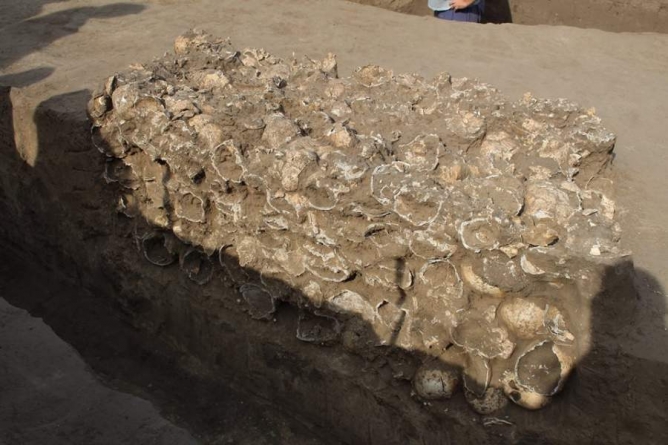 У Чигирині археологи знайшли захоронення людських черепів