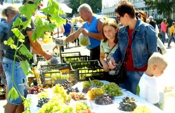 У Звенигородці відбулося свято винограду, меду та вина