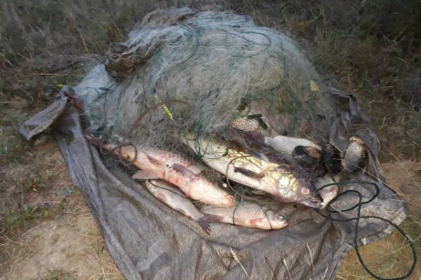 Три сітки по 70 метрів: черкаські браконьєри на дрібнички не розмінюються