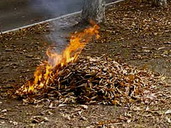Черкащина потопає в диму через спалювання опалого листя