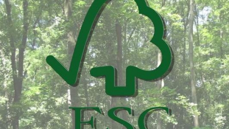 Кам`янський лісгосп отримав міжнародний сертифікат FSC