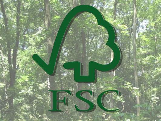 Кам`янський лісгосп отримав міжнародний сертифікат FSC
