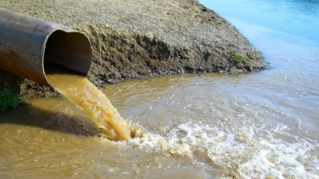 Цукровий завод в Тальному хочуть зупинити через забруднення річки