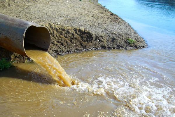 Цукровий завод в Тальному хочуть зупинити через забруднення річки