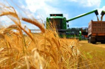 На Черкащині намолотили 2 млн тонн зерна