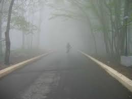 Водіїв попередили про туман на дорогах Черкащини