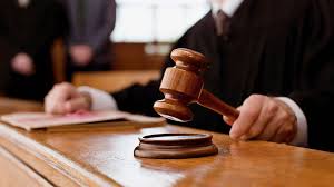 Cправу щодо забудови “Соснівки” суд розгляне наприкінці листопада