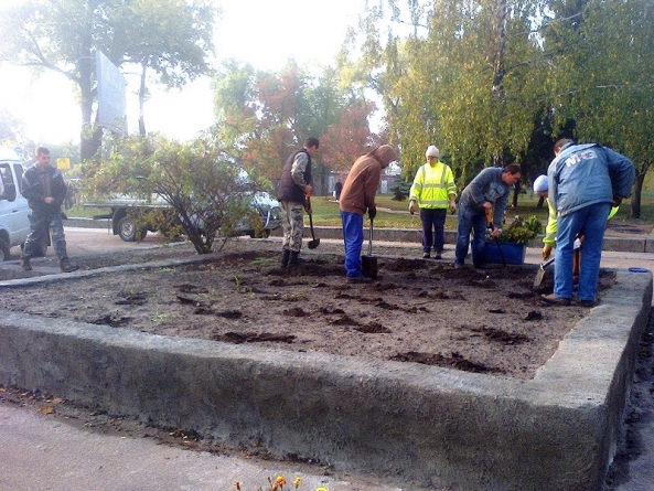 Черкаські парки наступного року буятимуть цвітом троянд