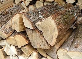 По дрова – до лісівників: ціни – прийнятні, дрова колоті, ще й з доставкою