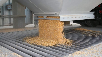 На Золотоніщині водій зерновоза намагався викрасти зерно у агропідприємства