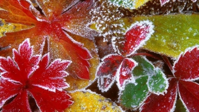 На Черкащині температура вночі може опускатися  до 6º морозу