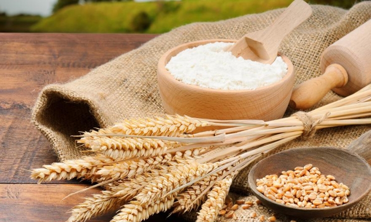 Черкащина виробляє вдвічі більше сільгосппродукції на одного жителя, ніж у середньому в Україні