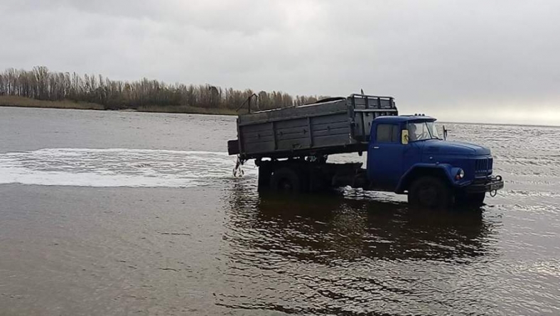 У Кременчуцьке водосховище випустять понад 74 тонни товстолобика