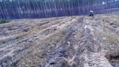 Лісівники Золотоніщини підготували 50 гектарів земель під майбутній ліс