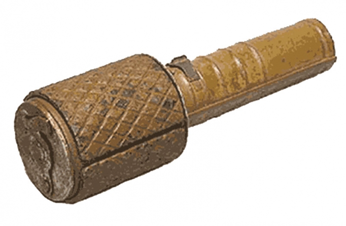 Грибники знайшли “ювілейну” гранату на Кам’янщині