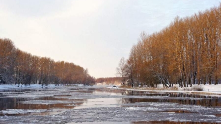 Справжня зима прийде на Черкащину не раніше 20 грудня