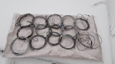 У Трахтемирові екологи знайшли 14 знарядь браконьєрського лову диких тварин