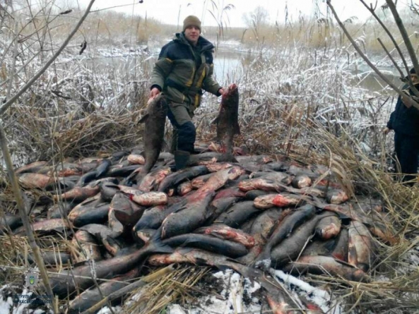 Півтори тонни риби браконьєри заховали в очереті