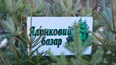 Майже 19 тисяч новорічних ялинок реалізовано на Черкащині