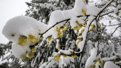 Найбільша висота снігу по Черкащині – у Звенигородці
