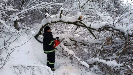За дві доби рятувальники прибрали 120 повалених дерев