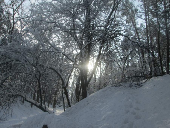 Сильні морози й туман прогнозують у Черкасах