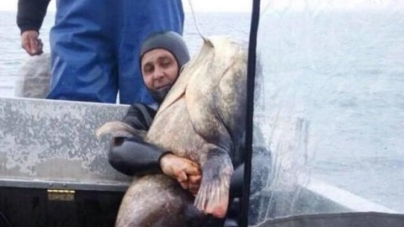 Важить 140 кг: гігантського сома піймали рибалки в Черкаській області