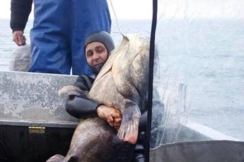 Важить 140 кг: гігантського сома піймали рибалки в Черкаській області