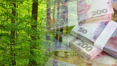 Понад 350 млн гривень податків сплатили лісівники Черкащини торік
