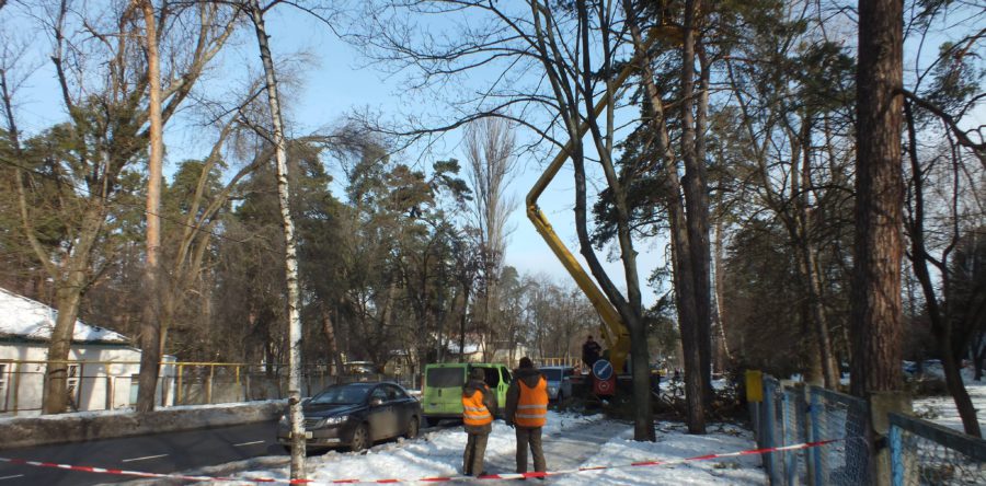 Аварійну обрізку дерев виконують біля Черкаської обласної лікарні